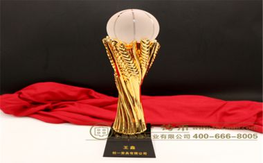 创一家具树脂奖杯【树脂奖杯定制】