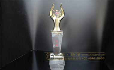 典春堂一等奖奖杯【树脂奖杯定制】