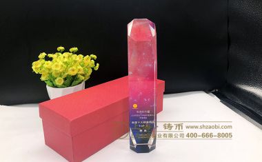 阳光人寿水晶奖杯【水晶奖杯定制】