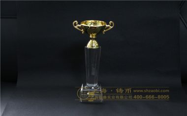 佰汇康战狼杯水晶奖杯【水晶镶金属奖杯定制